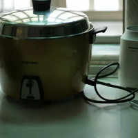 Top electric rice cookers in 2022