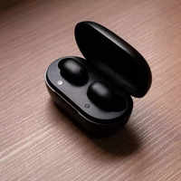 Best truly wireless earbuds under Rs 6,000