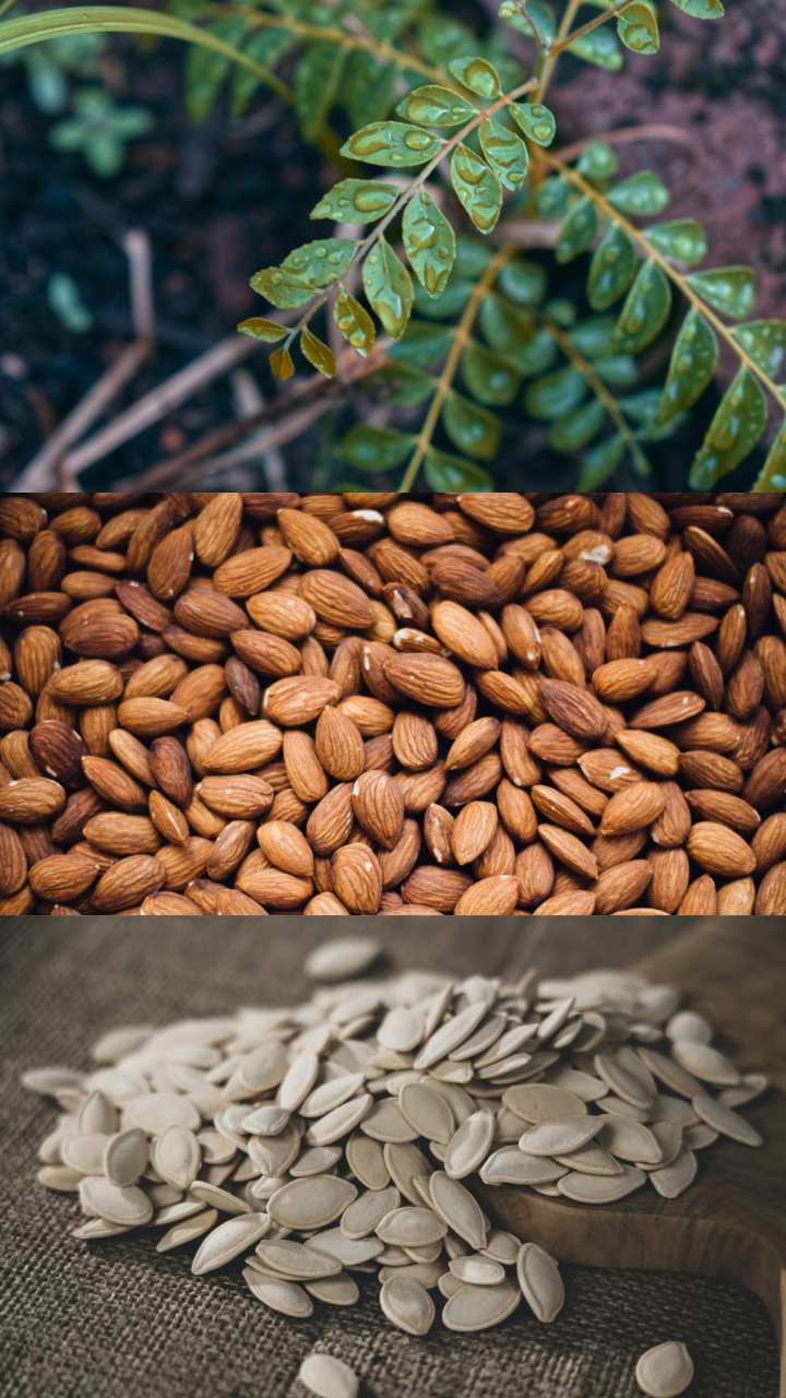 10 best Indian superfoods for healthy hair growth in men and women