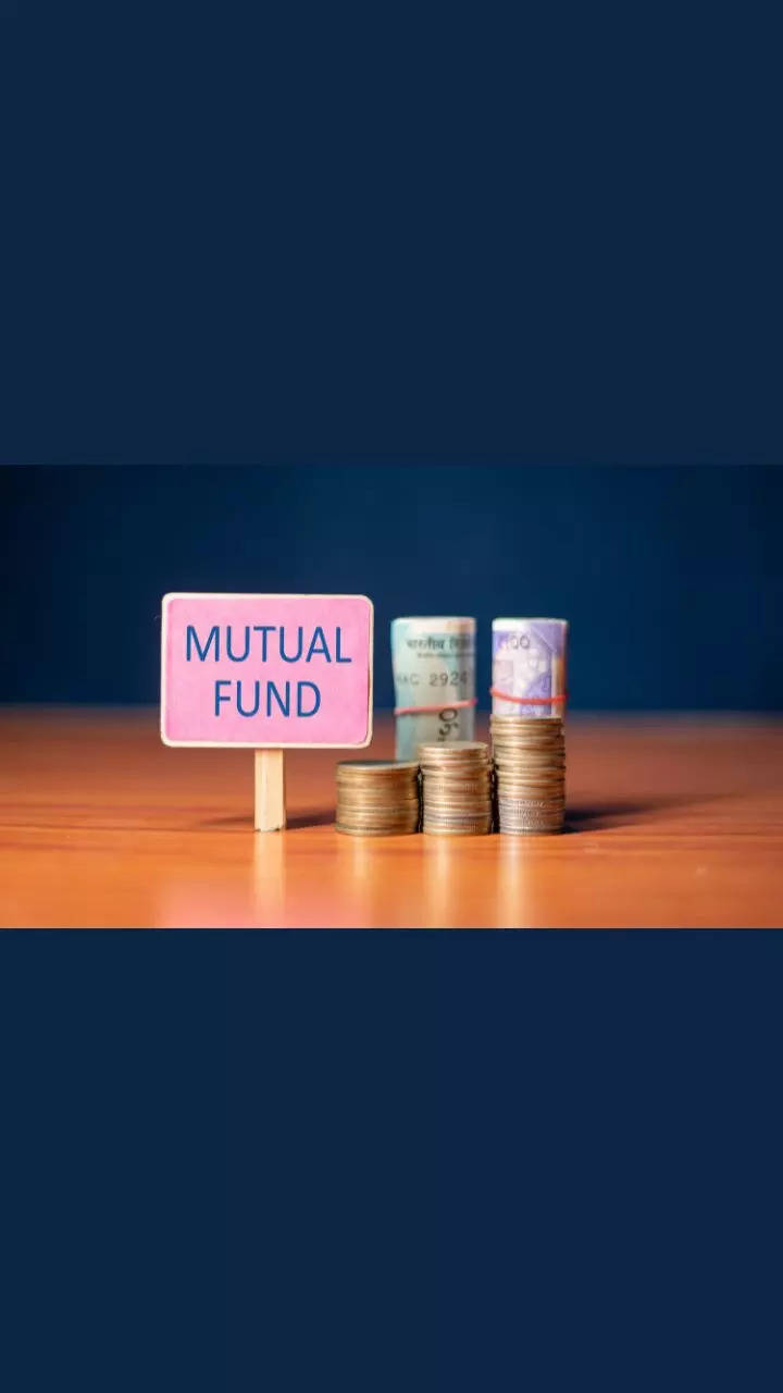 Coforge, Fortis Health see increased mutual fund holding in Q3, HDFC ...