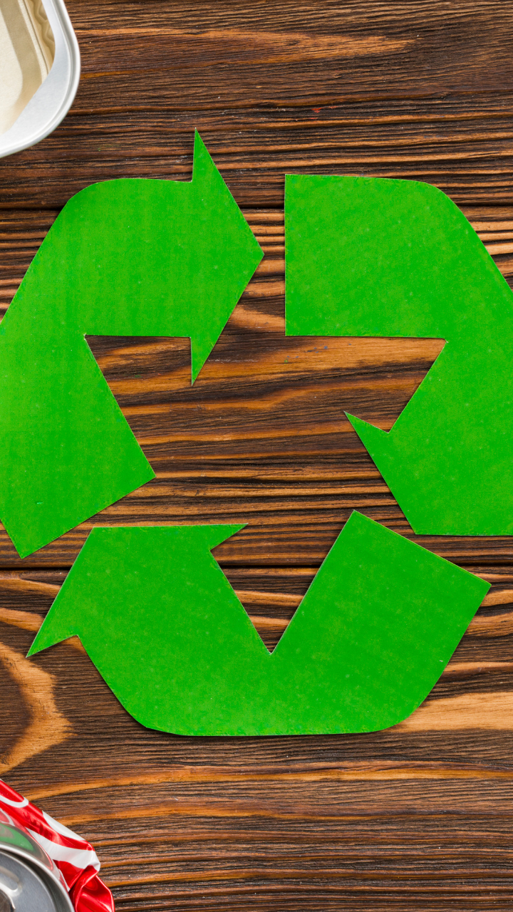 Countries with the best waste management systems Business Insider India