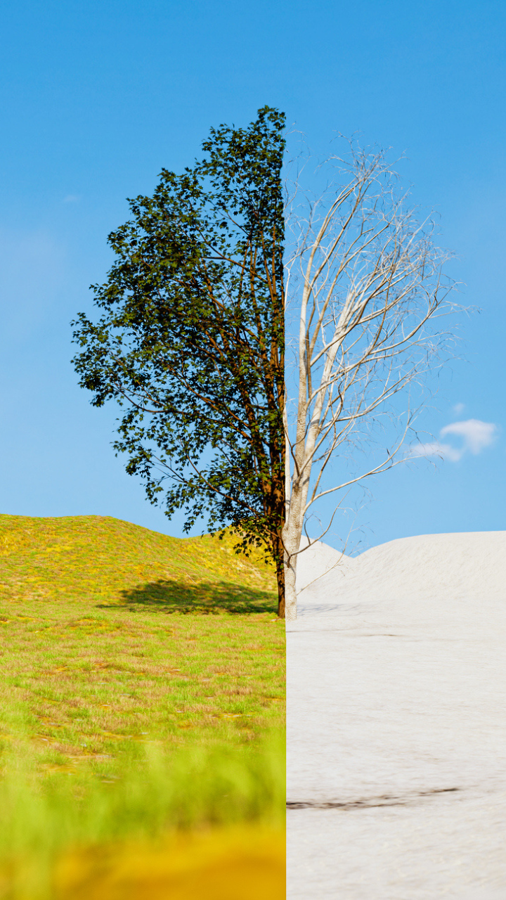 Best herbal drinks for changing weather Business Insider India