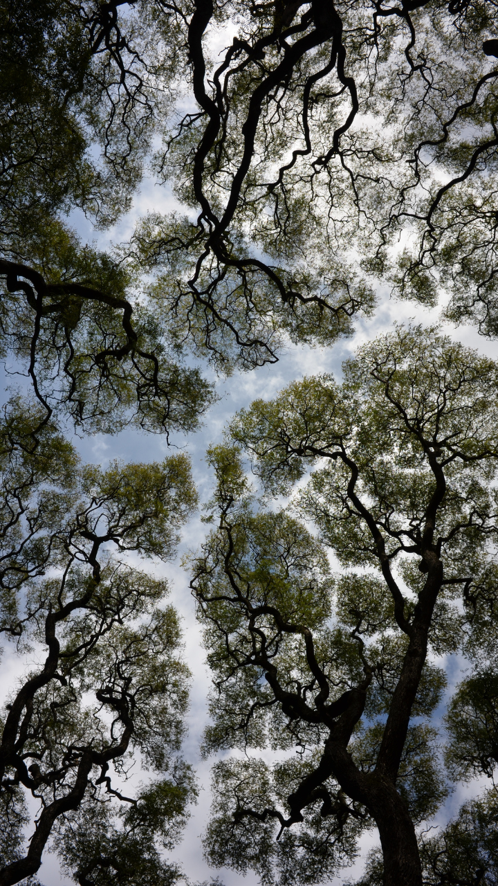 Mindboggling optical illusions that are found in nature Business