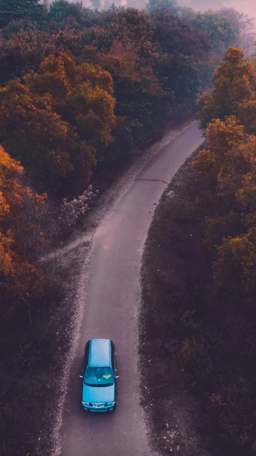 Goa has the highest car ownership in India, check out the states with