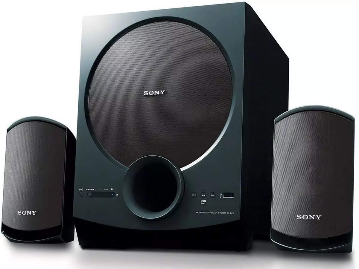 Sony SA-D20 C E12 2.1 Channel Multimedia Speaker System