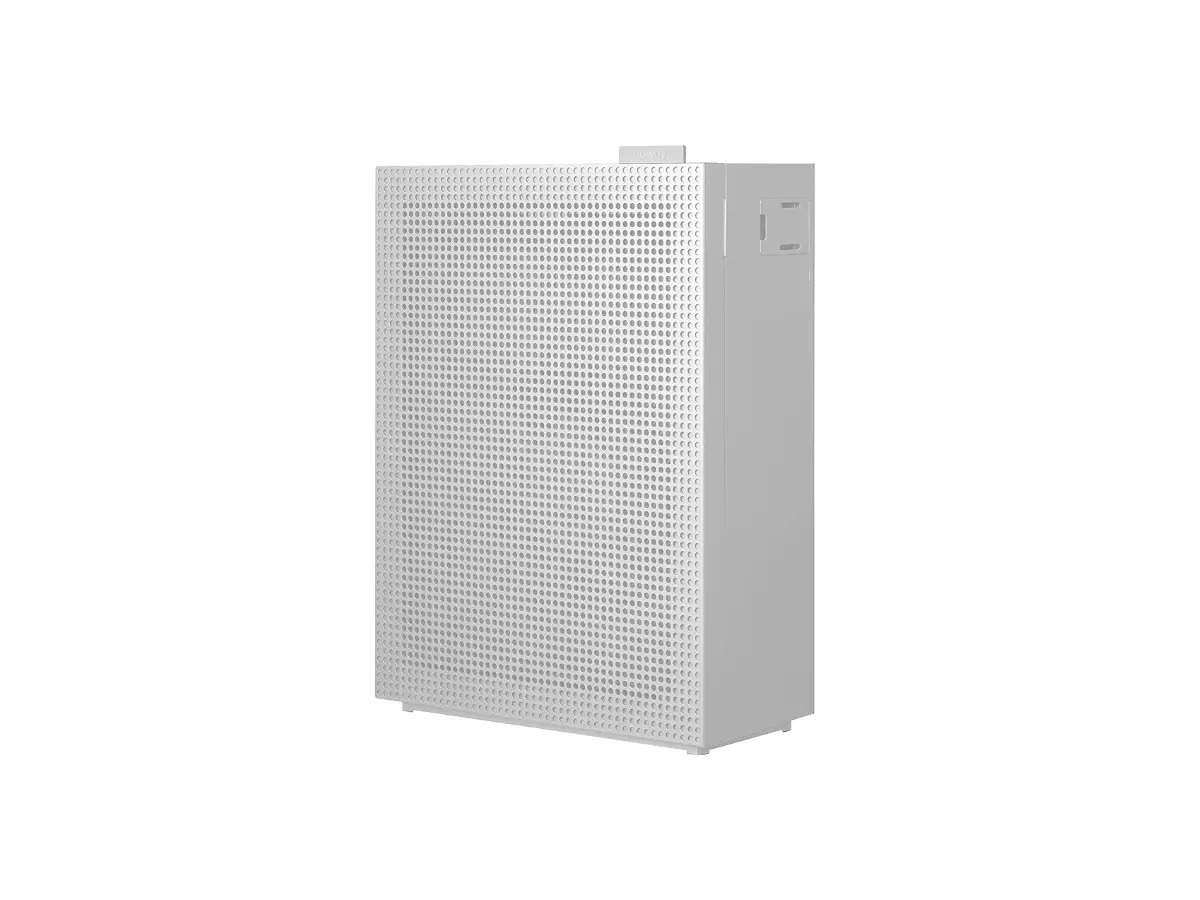 Coway Professional Air Purifier.