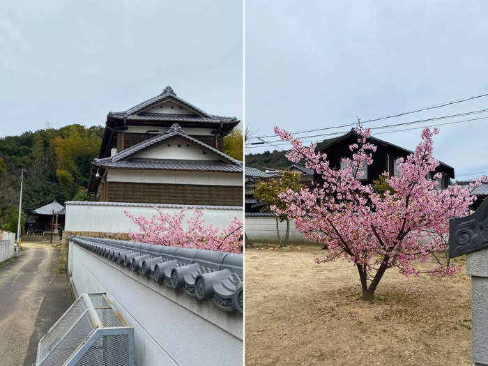 Since I visited in mid-March around the beginning of cherry blossom season, I saw some trees near Gokuraku-ji Temple in bloom. Though, not as many as I saw a few days earlier in Tokyo