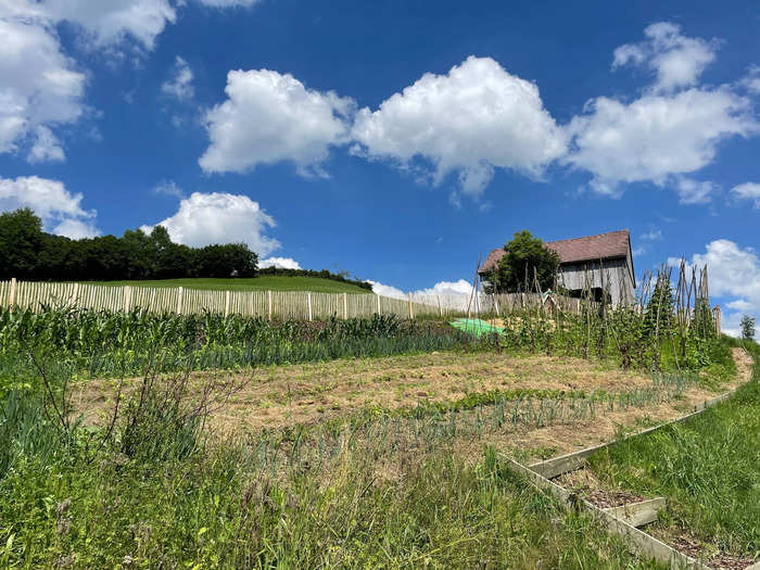 We wanted to go to Switzerland for its hiking, so we looked for volunteer and work-exchange opportunities on farms.