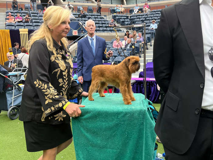 In general, the event seemed like well-organized chaos. Dogs and handlers were everywhere, but no one was stressed. It was also very quiet, with only scattered applause. It felt a little like watching a tennis match.