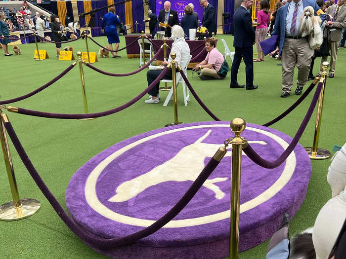 I saw the famous podium where the eventual Best in Show winner, Buddy Holly, a petit basset griffon Vendéen, would take photos after being crowned on May 9.