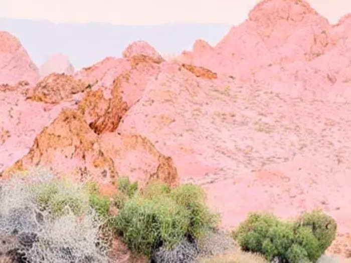 I started off with an easy one: the text-to-image generator. My first prompt was "pink oranges and orange roses strewn across the Mojave Desert."