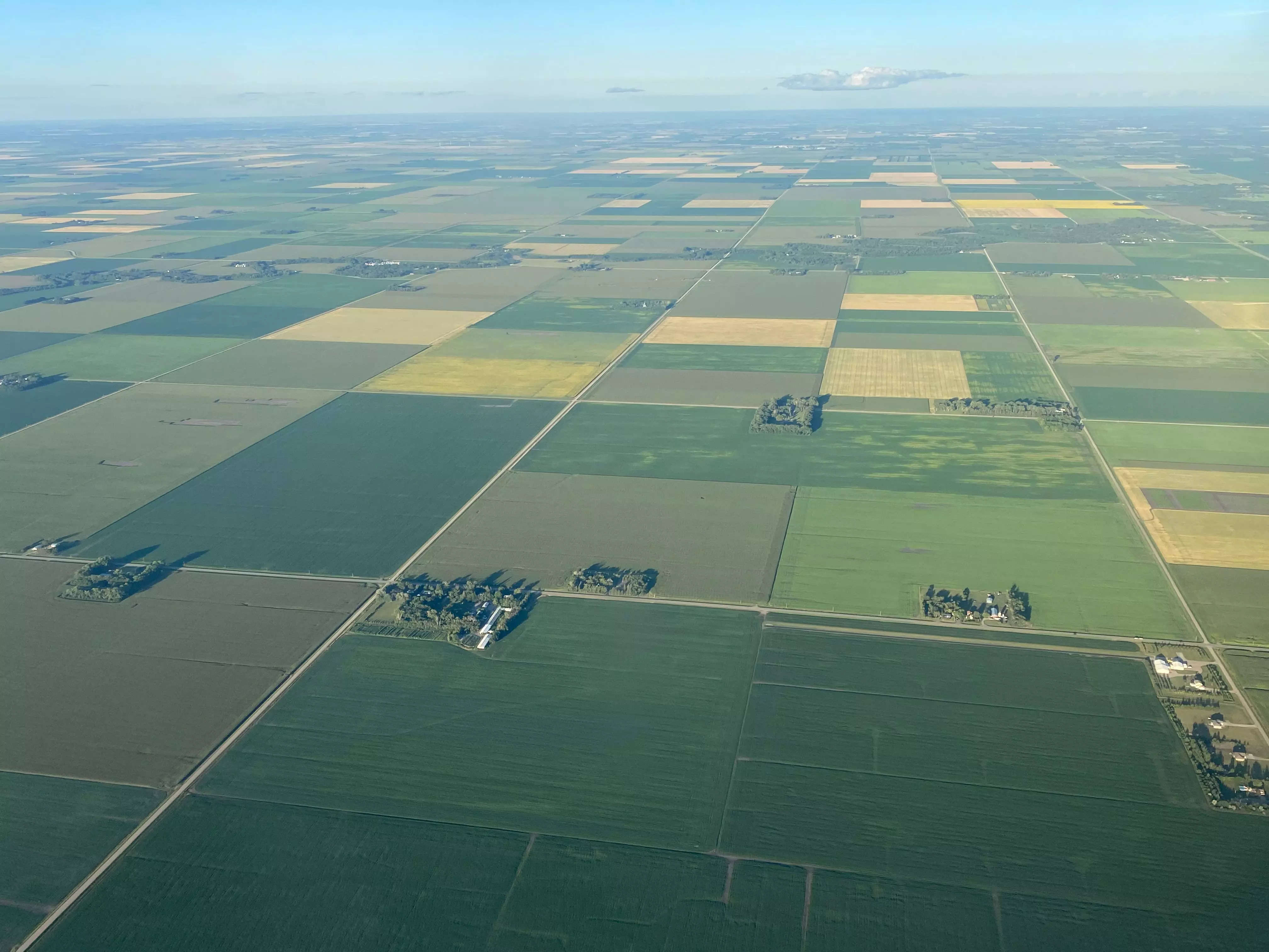 Aerial view of a grid including dozens of farm fields that are various shades of green and yellow.