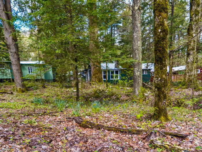 Hidden in the lush woods of Great Smoky Mountains National Park, a once-abandoned resort town known as Elkmont is full of 100-year-old cabins.