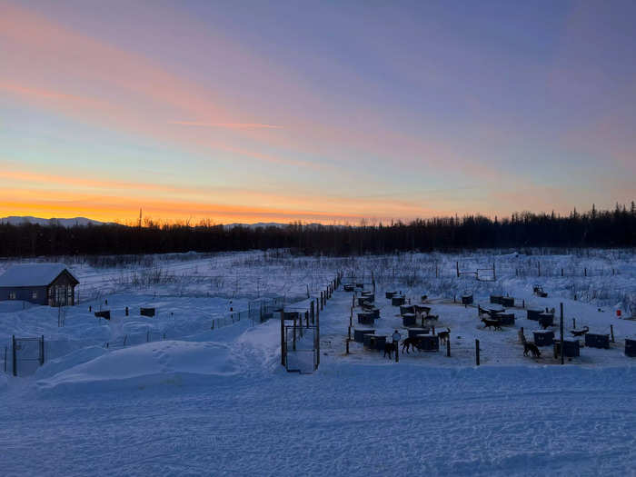 While Rohn goes out to feed and tend to their 32 dogs in the morning, Alyssa reviews their appointments and responds to emails. Then they prep the sleds and harness-up the selected team of dogs for the tour.