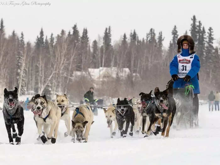 Eventually, as an adult, Rohn trained and raced sled dogs for competitions spanning from 8-mile sprints to 300-mile races. Three times, he