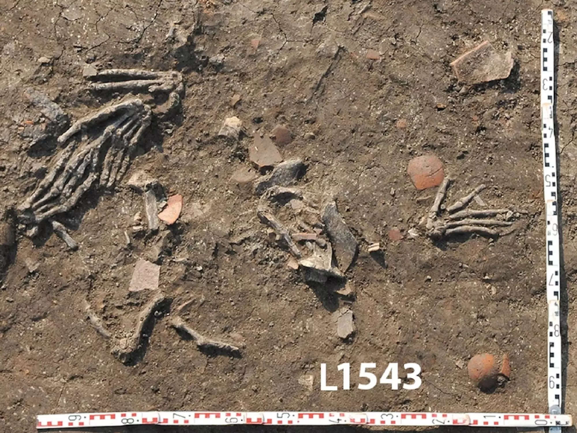 A picture shows the remains of a hand splayed out in the ground