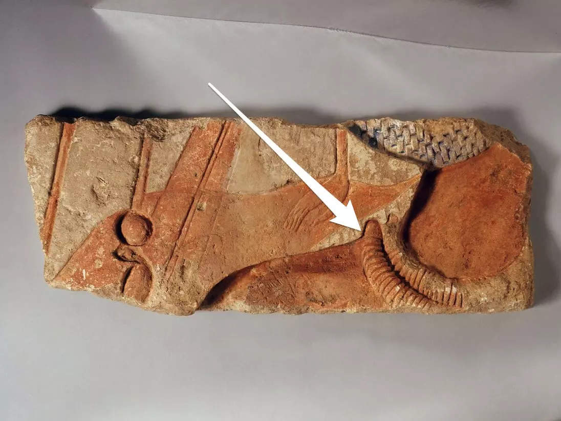A relief fragment shows the nappe of a neck wearing a necklace made of two layers of beads.
