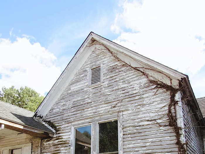 The front of the home with paint peeling off and plants growing on frame