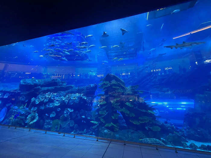 You can see some Dubai Aquarium & Underwater Zoo enclosures from the Cheesecake Factory or outside the Missguided store without paying to enter the aquarium.