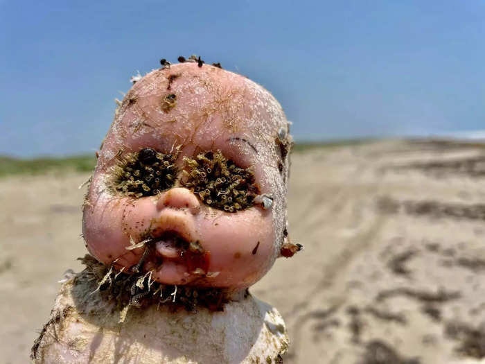 You might have heard of this beach before — the baby dolls have previously made the news because they frequently wash up along the shore.