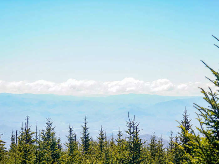 When I finally reached the top, I marveled at a 360-degree view of the Southern Appalachians. Treetops towered over a hazy valley with an epic mountain range behind it. It was such a memorable scene that I think you should see for yourself.