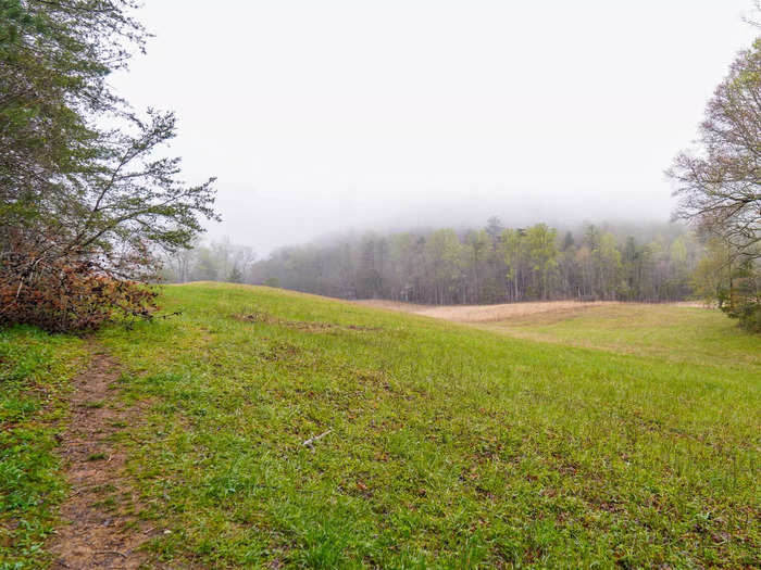 I noticed the same effect in the park itself. But unlike at the cabin, where I thought the haze looked like clouds, from inside the park I could see how the "smoke" spills into the forest. I thought this made the woods feel mysterious.