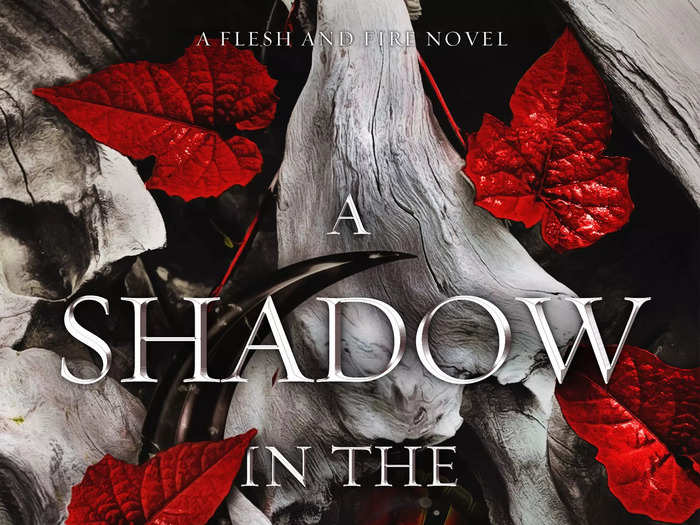 "A Shadow in the Ember" by Jennifer L. Armentrout