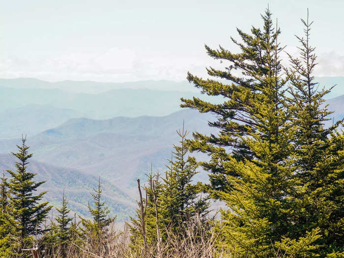 I recently spent five days exploring the Great Smoky Mountains in Tennessee and saw some jaw-dropping landscapes of the Southern Appalachian Mountains.