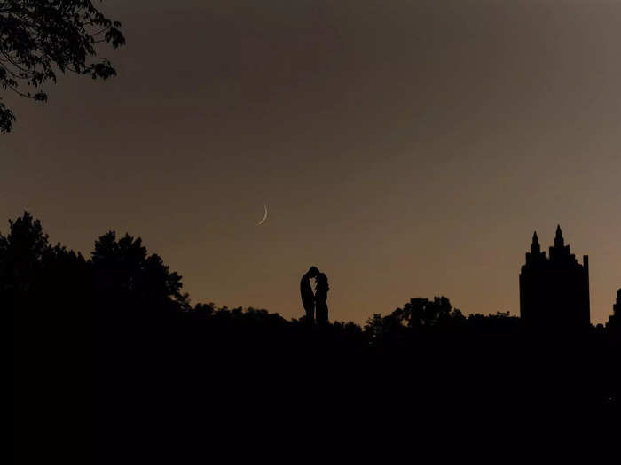 Their silhouettes blend in with the trees and the castle in the background.