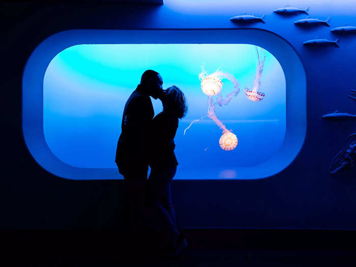 The dramatic lighting in the Monterey Bay Aquarium provided a beautiful backdrop.