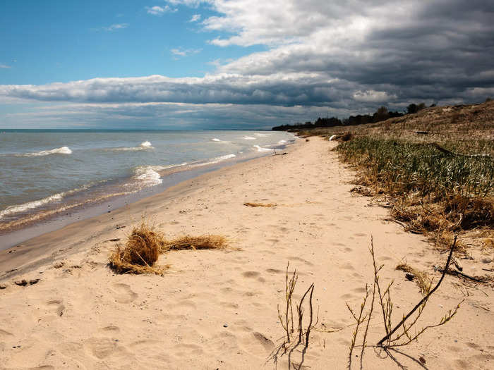 Kohler-Andrae State Park in Wisconsin has sand dunes, clear blue water, and more than 2 miles of sandy beaches.