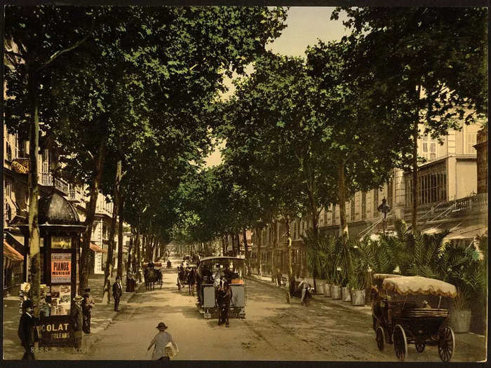 This photochrom shows tree-lined Avenue de la Gare in Nice.