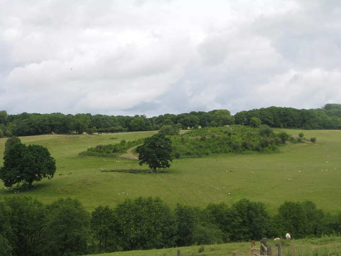 Today, the farmhouse and its cottages sit on a 192-acre estate outside the Bannau Brycheiniog National Park. The far tree line marks the edge of the estate.