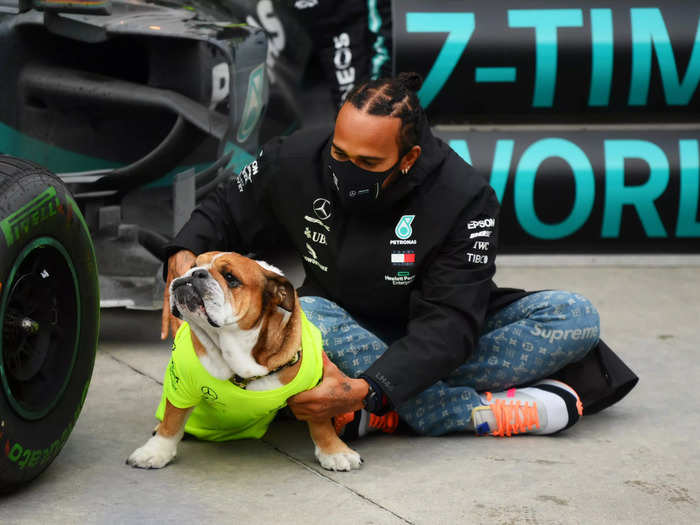 Roscoe often travels with Hamilton to races and is probably one of the luckiest pups in the world. What a life.