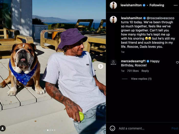 The one Hamilton spoils the most is probably Roscoe, his dog of 10 years whom he calls his "best friend."