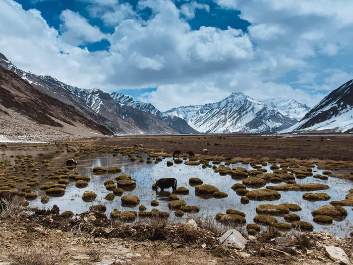 Zanskar Valley