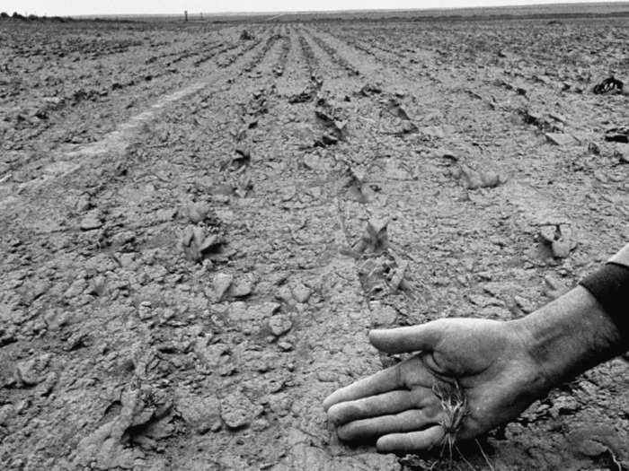 Even so, in 2020, new research found—despite all of the improved farming practices—that the heat waves which caused the dust bowl were more than twice as likely to occur as in the 1930s, due to global warming.