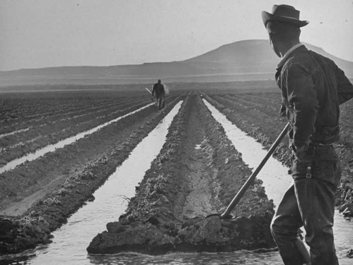 From then on, farming practices were generally improved. Farmers knew to irrigate their crops so they could handle droughts better.