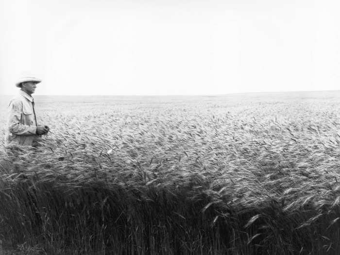 Demand for crops, wheat in particular, was high in the 1920s due to World War I. Farmers harnessed new technology like tractors to get the most from their land. At the same time, the weather provided the region with plenty of rain.