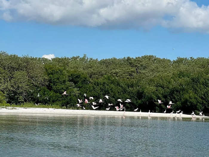 Our captain shared information about local wildlife throughout the trip.