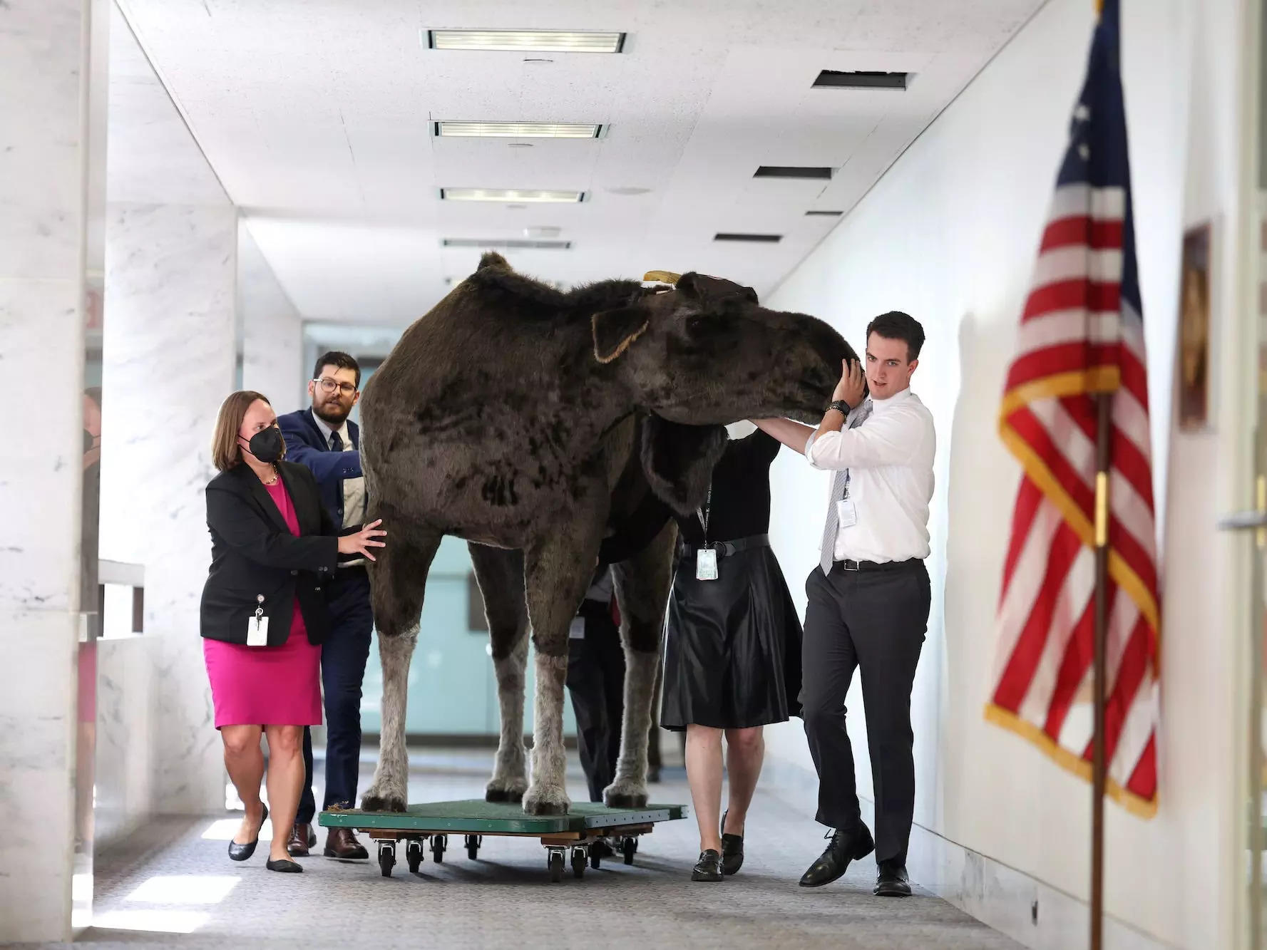 Aides guided Marty through the Hart Senate office building.