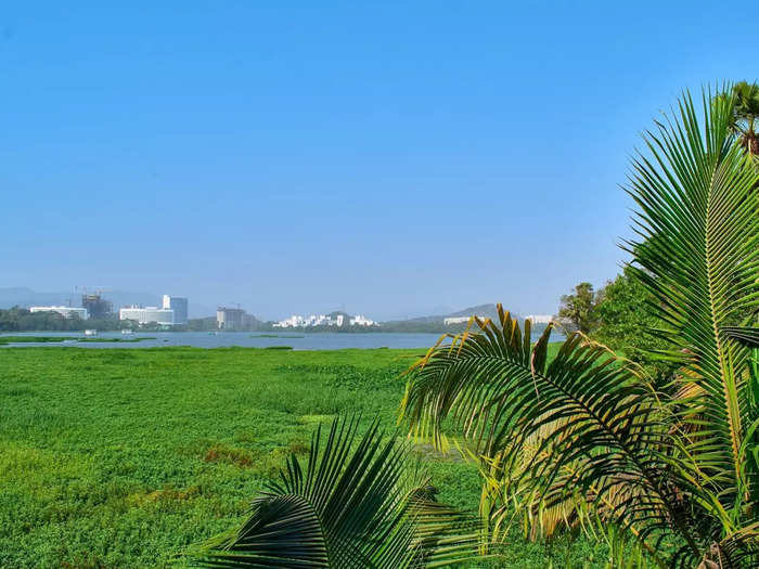 Powai Lake