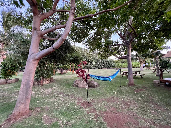 There were two trees near the tentalow that were the perfect distance apart for hanging a hammock.