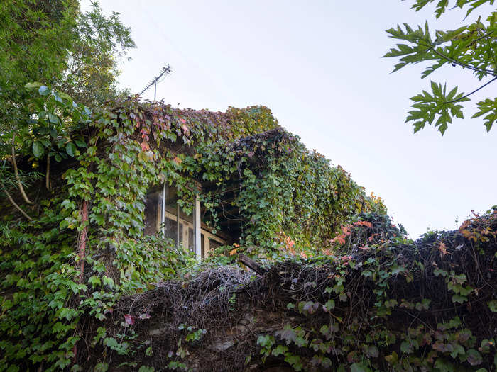 An abandoned Sydney home overrun by plants is set to be auctioned with a guide price of 2.5 million Australian dollars, or $1.7 million.