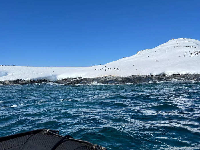 Adventures around Antarctica can cost $30,000