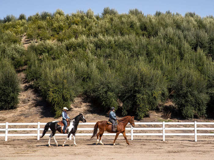 The estate is perfect for equestrian enthusiasts.