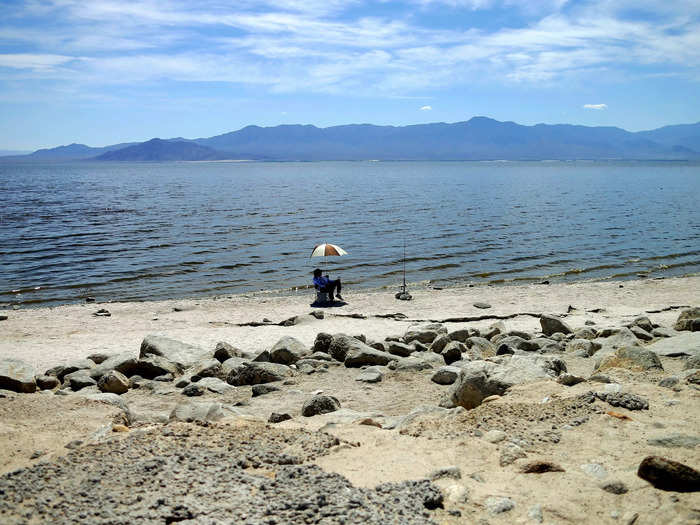 As temperatures rose in the summers, the bleak conditions were exasperated by algae blooms that caused millions of fish to wash up dead on the shores of the Salton Sea.