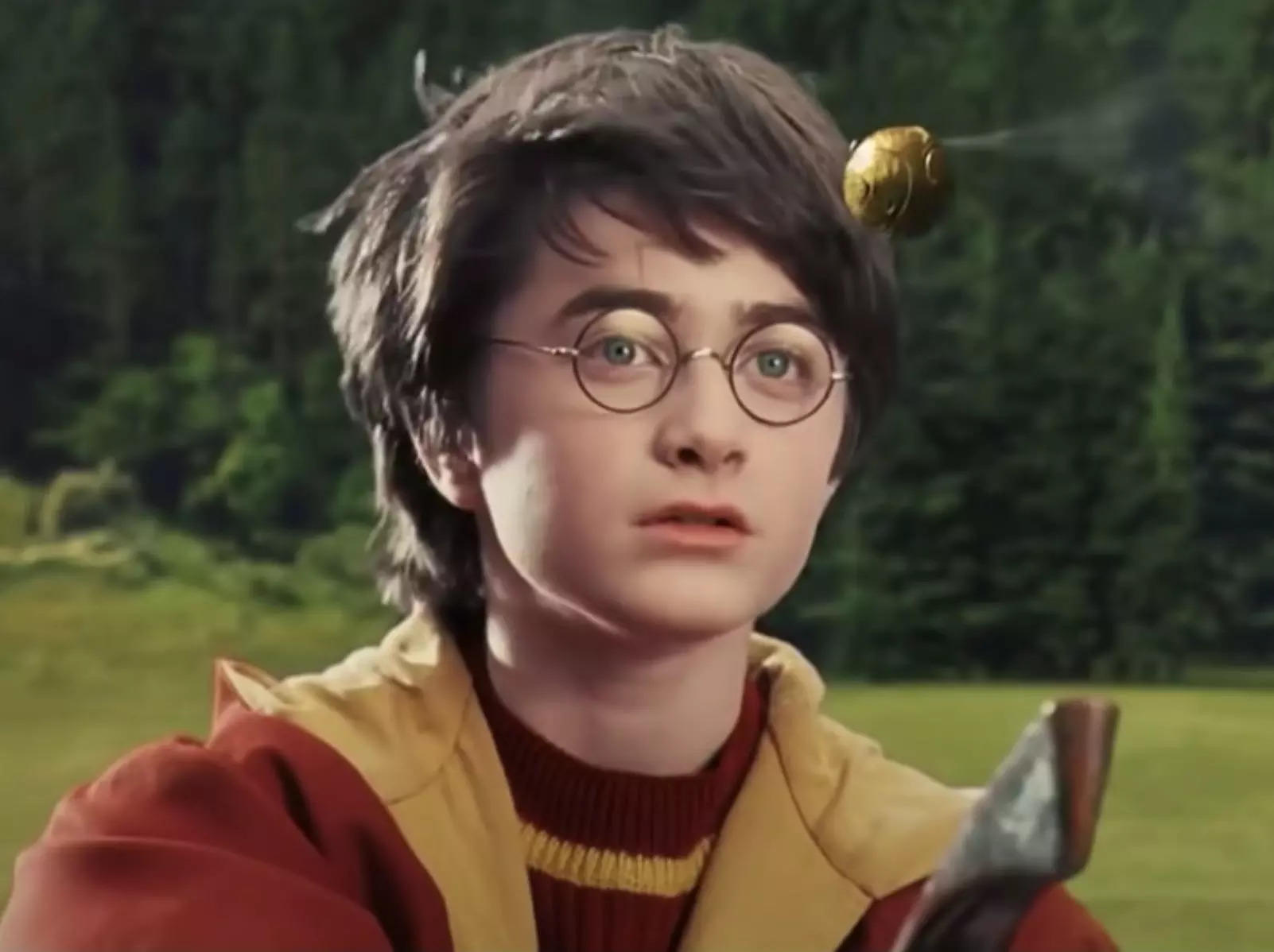 Daniel Radcliffe as Harry in "Harry Potter in the Chamber of Secrets."