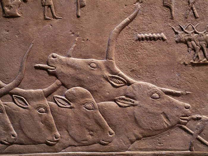 3. A joke about livestock, Sumeria, 1200 BC.