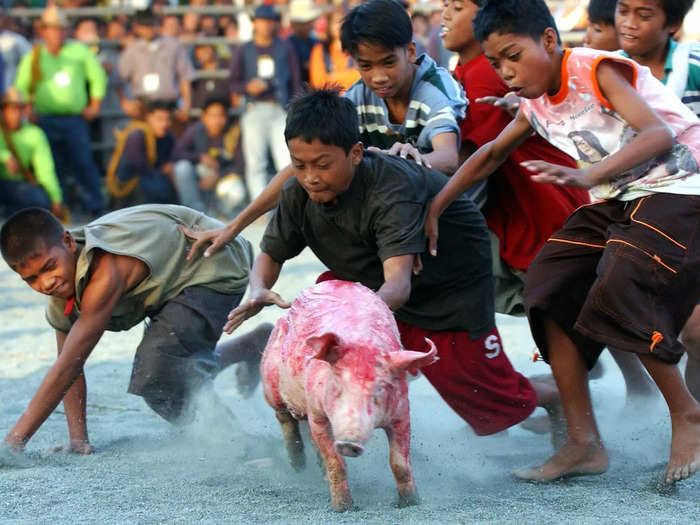 Once an effort to bolster the cattle industry, the rodeo has now become a proud representation of the cowboy and cowgirl culture in Masbate.